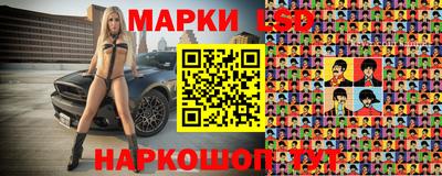 индика Рузаевка