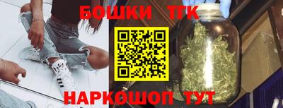 индика Рузаевка