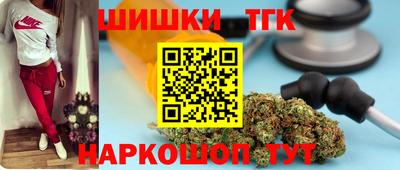 индика Рузаевка