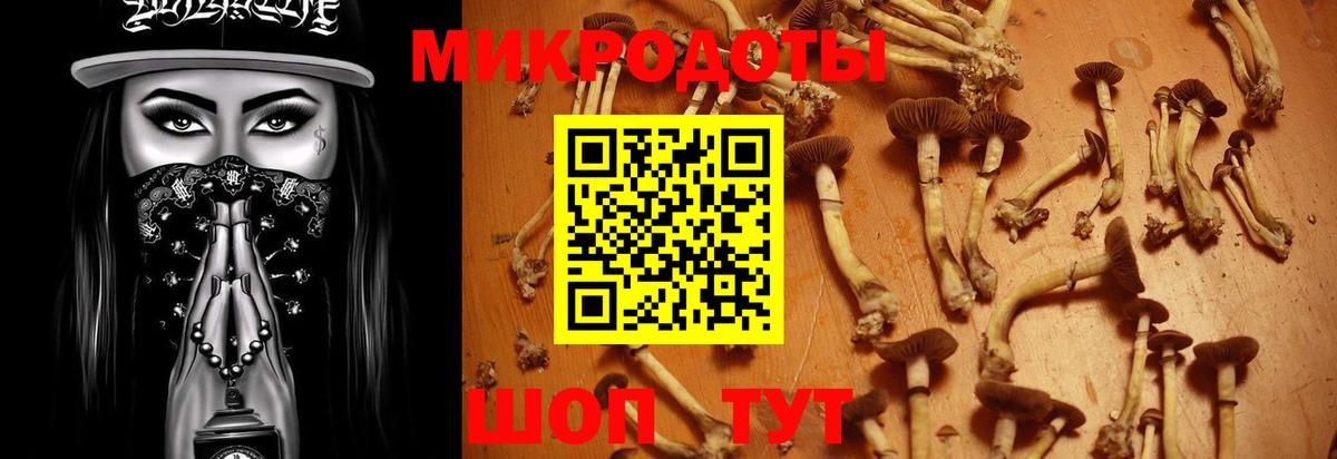 Галлюциногенные грибы ЛСД  Вход с VPN  Галлюциногенные грибы Magic Shrooms  Саранск 